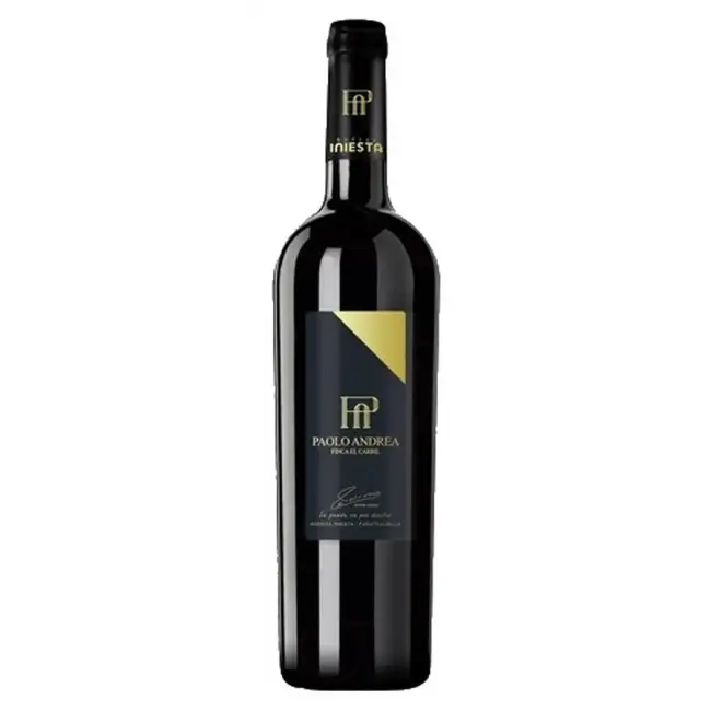 Iniesta Paolo Andrea 2016