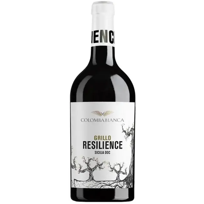 Colomba Bianca Resilience Grillo 2024