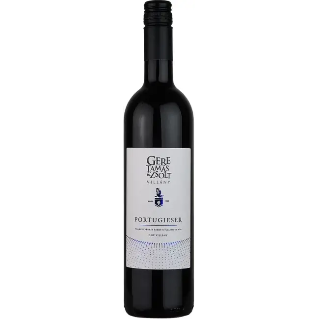 Gere Tamás és Zsolt Portugieser 2024 (V)