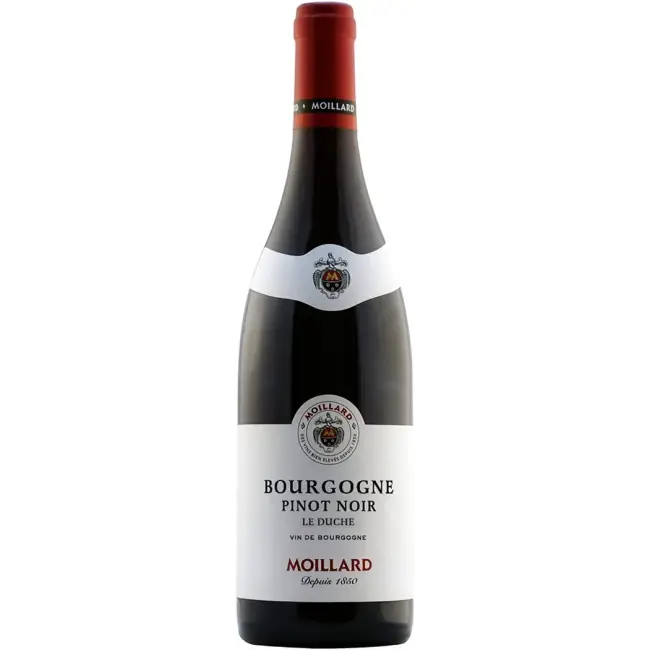 Moillard Pinot Noir Le Duché 2023