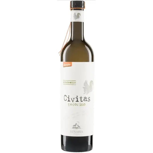 Orsogna Civitas Pecorino 2024 (V)