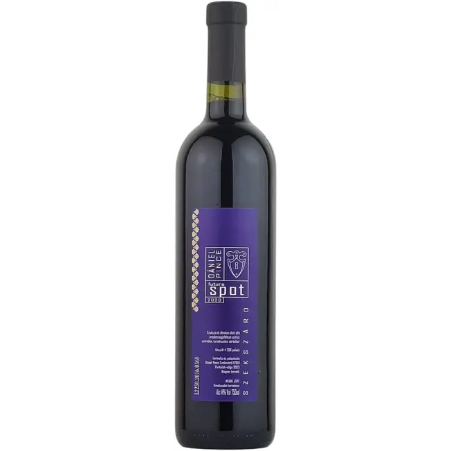 Dániel Pince Spot Future 2020