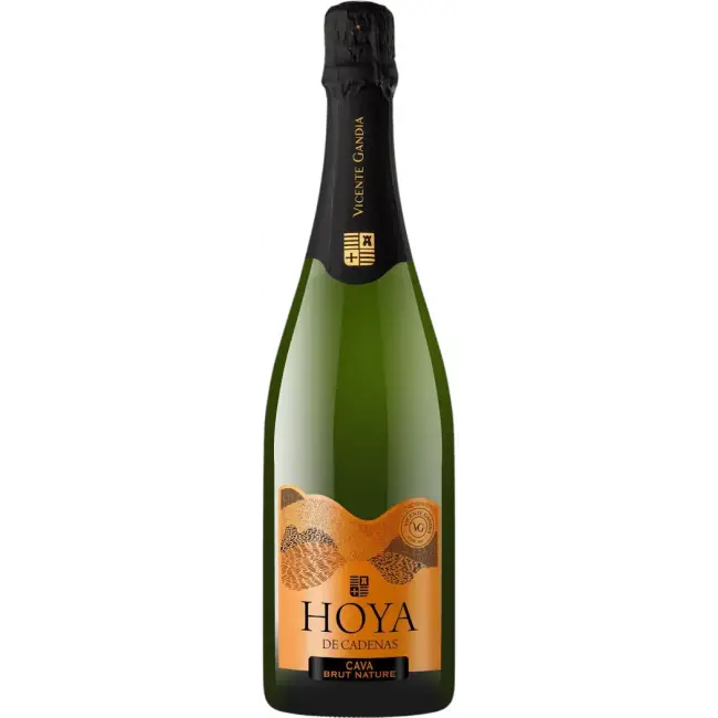 Vicente Gandia Hoya de Cadenas Cava Brut Nature (V)