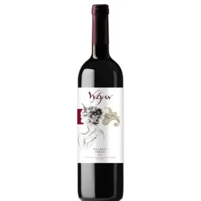 Vylyan Syrah 2020