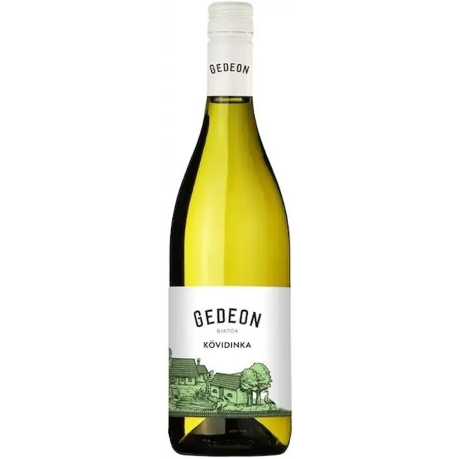 Gedeon Kövidinka 2025