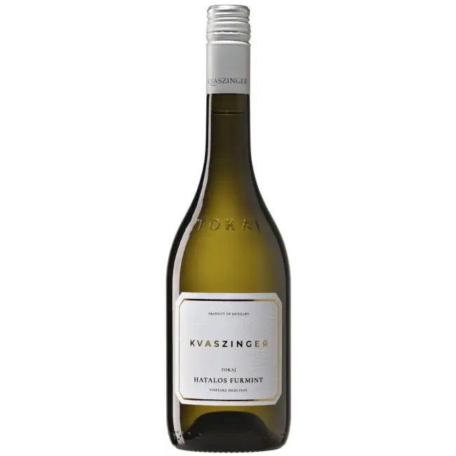 Kvaszinger Sárgamuskotály 2025