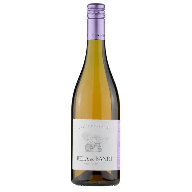 Béla és Bandi Pinot Gris 2025