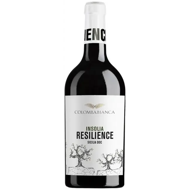 Colomba Bianca Resilience Insolia 2025