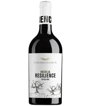 Colomba Bianca Resilience Insolia 2024