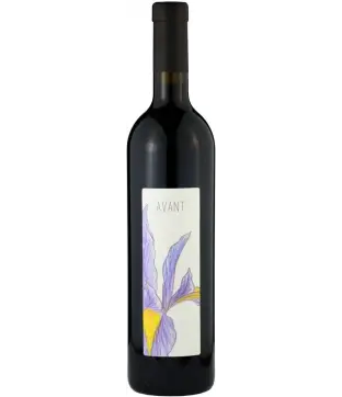 Dániel Pince Avant 2016