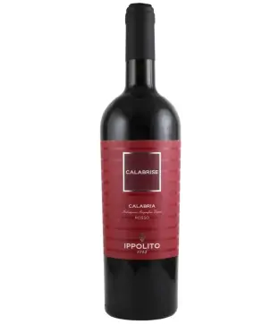 Ippolito Calabrise 2024