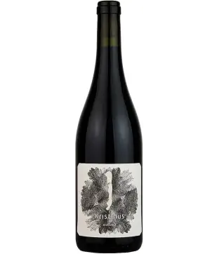 Kristinus Kosmo 2020