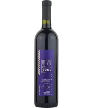 Dániel Pince Spot Future 2020