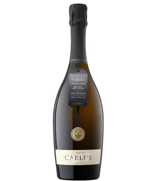 U mes U Caelus Cava Brut Nature Gran Reserva 2016