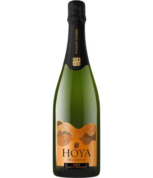 Vicente Gandia Hoya de Cadenas Cava Brut Nature (V)