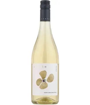 Lázár Pince Sárgamuskotály 2025