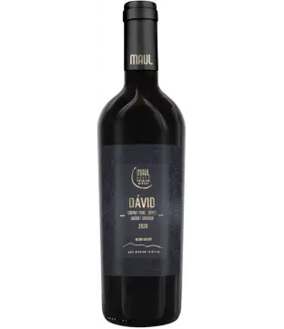Maul Dávid 2021