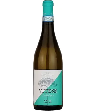 Colomba Bianca Vitese Grillo 2025 (V)