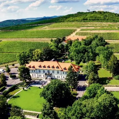 Gróf Degenfeld Szőlőbirtok